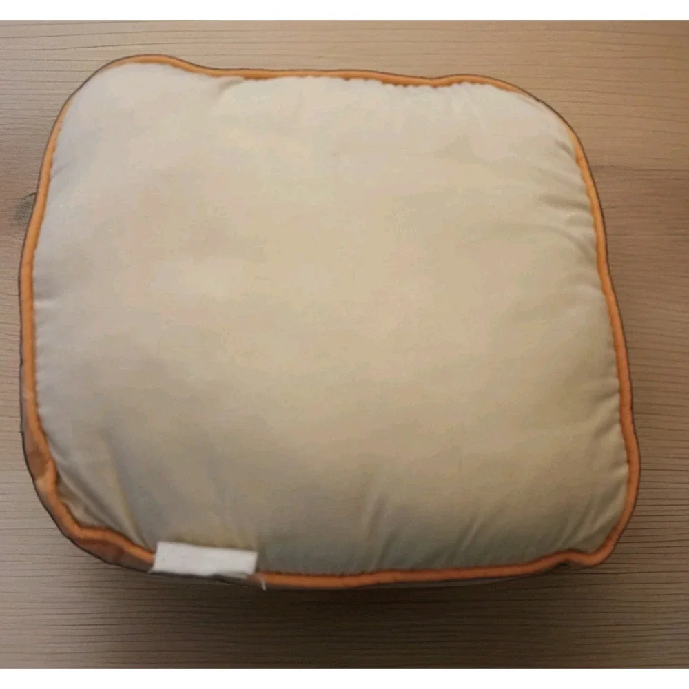 Pottery Barn Kids Zebra Portrait Pillow Orange Piping Square 14